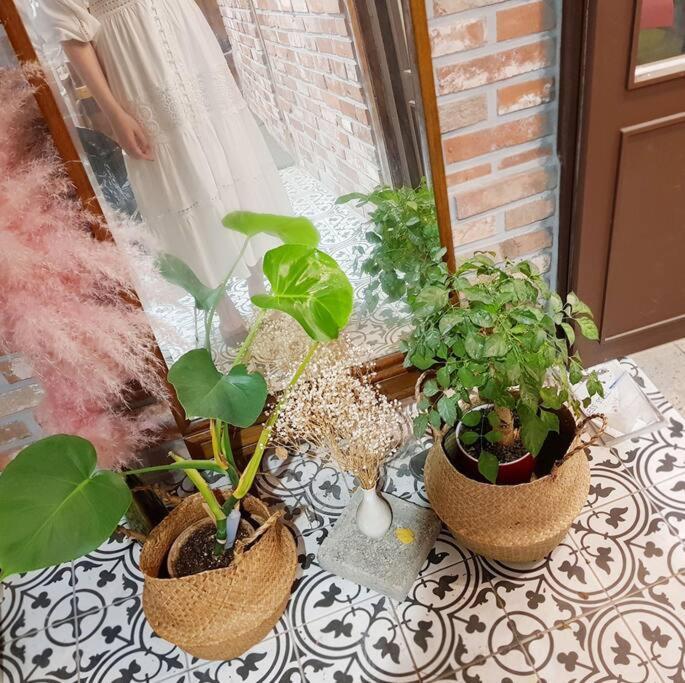 Guest house Bibimbap Hanok Gyeongbokgung *